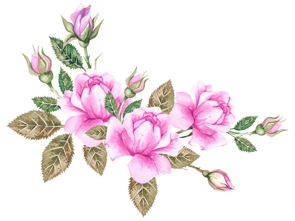 Buquê de aquarela de rosas rosa em um fundo branco — Fotografia de Stock