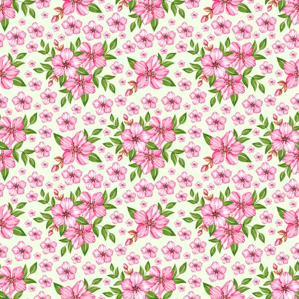 Kwiatowy wzór akwareli z różowym kwiatem wiśni — Zdjęcie stockowe
