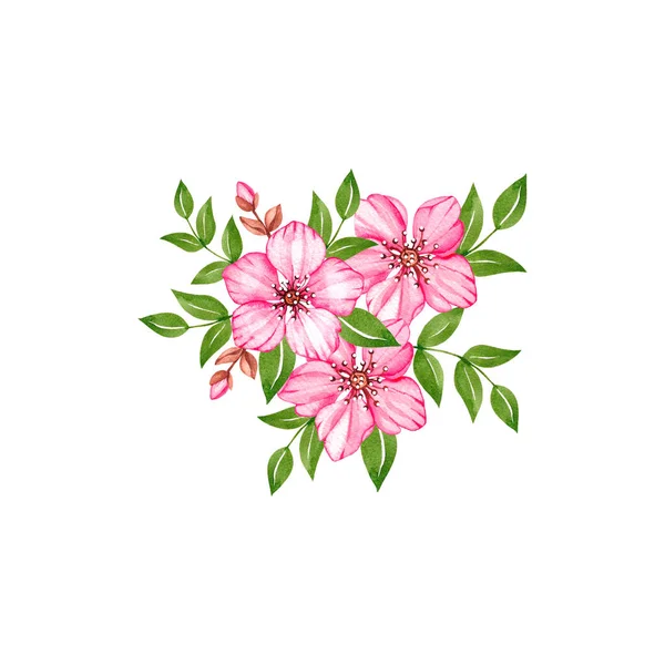 白色背景下的粉红色樱花水彩花 — 图库照片