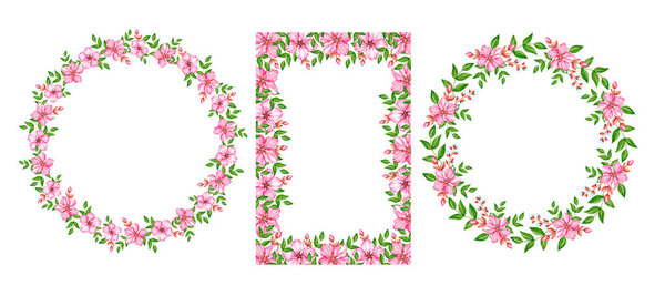 Цветение вишни акварелью на белом фоне