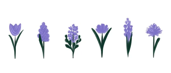 Ряд абстрактних пурпурових квіток, намальованих акрилом, ізольованих на білому тлі. Намальовані ручні квіткові бруньки. Дуже барвистий. — стокове фото