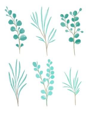Watercolor hand painted vector set eucalyptus leaves and branches. Frolar branches and leaves isolated on white background. For invitation, wedding or greeting cards.