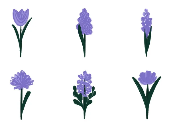 Set van handgetekende vormen en doodle design elementen. Aquarel Abstract Paarse lavendelbloemen. Abstract hedendaagse moderne trendy vector illustratie. — Stockvector