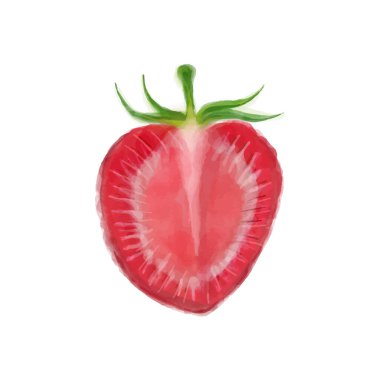 Elle çizilmiş suluboya beyaz arka planda çilek boyası. Vektör böğürtlen çizimi.