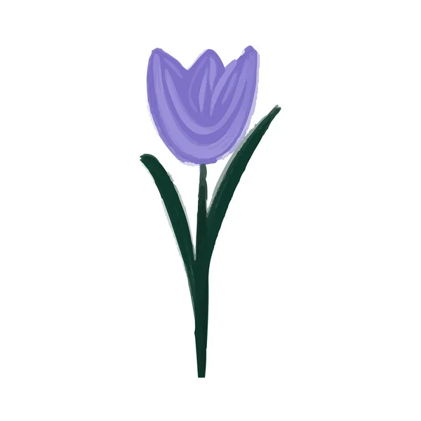Abstrato tulipa pintura a óleo roxo. Ilustração vetorial desenhada à mão. — Vetor de Stock