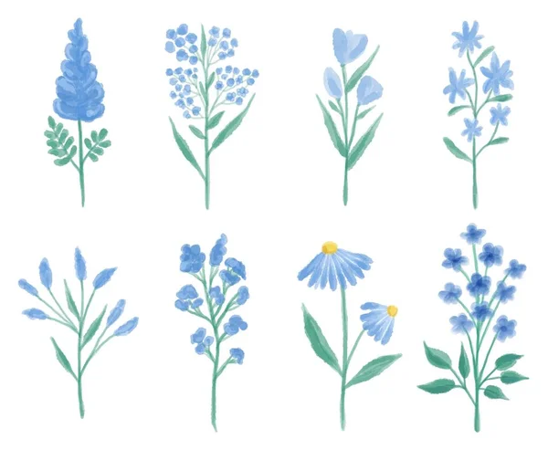 Conjunto de acuarela de varias flores de pradera azul. Ilustración botánica de dibujo a mano aislada sobre fondo blanco. Composición floral para boda o tarjeta de felicitación. — Foto de Stock