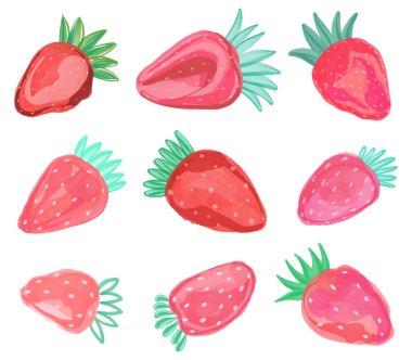 Beyaz arka planda elle çizilmiş çilek boyası seti. Çileklerin vektör illüstrasyonu.