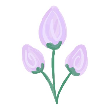 Elle çizilmiş suluboya pembe çiçeklerin vektör boyası, gül, beyaz arka planda tomurcuklar. Menüler, davetiyeler, düğün için kullan.