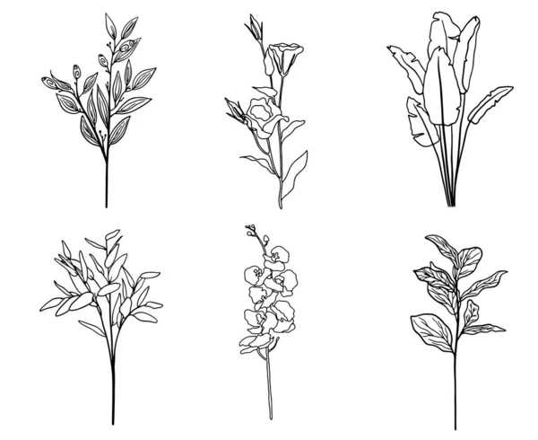 Vektor uppsättning exotiska blad och blommor dras i en linje. Enkla handflator inställd. Doodle tropiska blommor illustration. — Stock vektor
