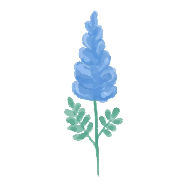 Handgezeichnete Illustration einer blauen Wildblume. Gladiolen in Aquarell gemalt. Vektorillustration. — Stockvektor