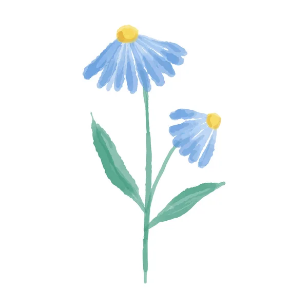 Ilustração desenhada à mão de uma flor silvestre azul. Margarida pintada em aquarela. Ilustração vetorial. — Vetor de Stock