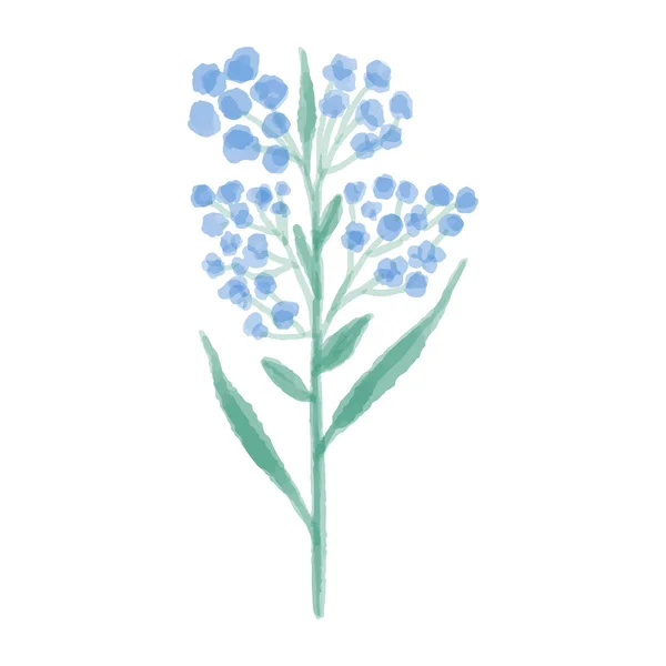 Met de hand getekend illustratie van een blauwe wilde bloem. Lupine geschilderd in aquarel. Vectorillustratie. — Stockvector