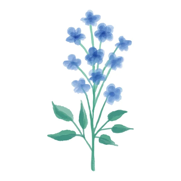 Ilustração desenhada à mão de uma flor silvestre azul. Esquece-me não pintado em aquarela. Ilustração vetorial. —  Vetores de Stock