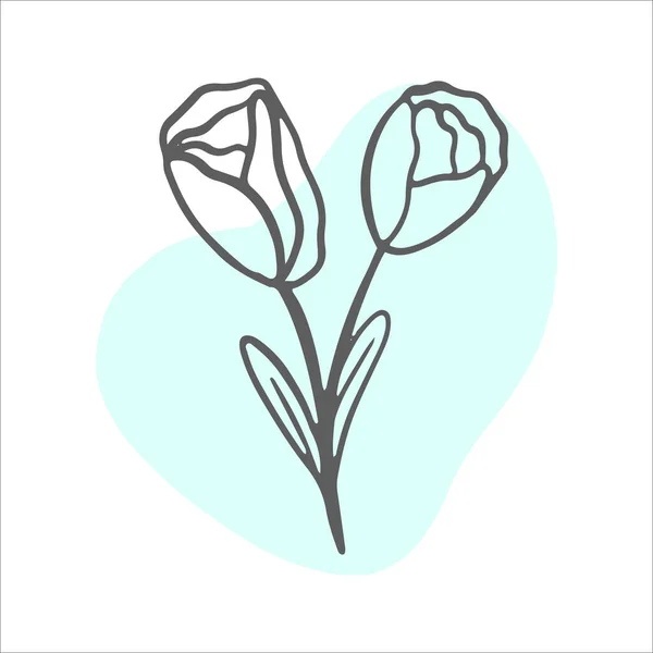 Linha única Tulipa. Flor vetor ícone natureza linha. Moda Primavera Vector ilustração. —  Vetores de Stock