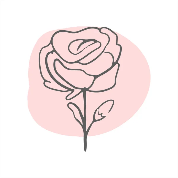 Einzeilige Rose. Blumenlinie Natur Icon Vektor. Trendige Frühling Vector Illustration. — Stockvektor