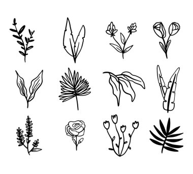 Vektör koleksiyonu çiçek ve bitki koleksiyonu. Dekoratif güzellik tasarımı için zarif bir çizim. El çizimi çiçekler..