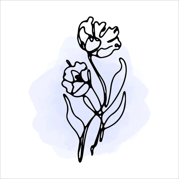 Flores e folhas em uma linha de estilo de arte. Aquarela manchas azuis no fundo. Ilustração desenhada à mão vetorial. —  Vetores de Stock