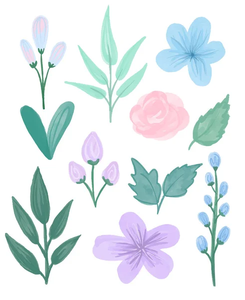 Vector bloemenset. Kleurrijke bloemencollectie met bladeren en bloemen tekening met aquarel. Voorjaars- of zomerontwerp voor uitnodigings-, trouw- of wenskaarten. — Stockvector