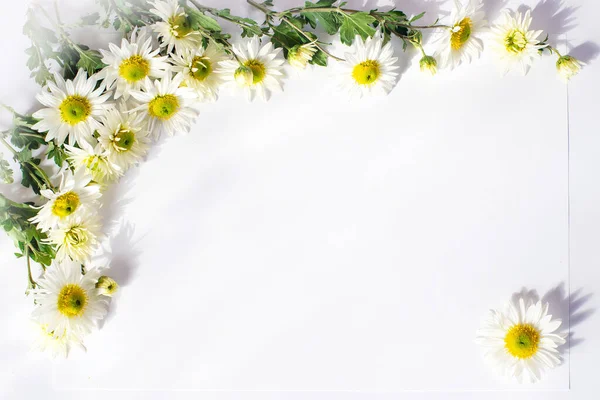 Dekoratif çiçek aranjmanı, sonbahar konsepti. Düz şezlong, üst görünüm, boşluğu kopyala