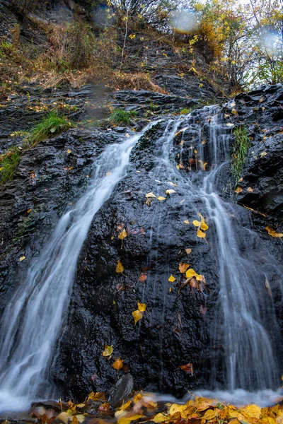 Cascade Dans Forêt — Photo