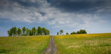 Tarlada gün batımı