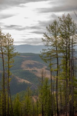 Dağlarla, Sibirya 'yla, Rusya' yla