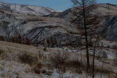 Dağların üzerinden gün doğumu