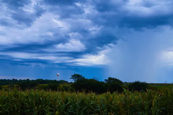 遠くに水の塔とトウモロコシ畑の嵐の日 — ストック写真