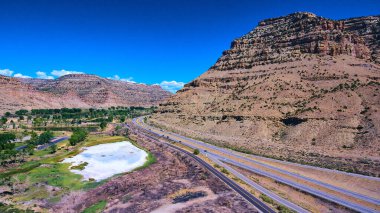 Orman yangını çöldeki ağaçlara zarar verdi.