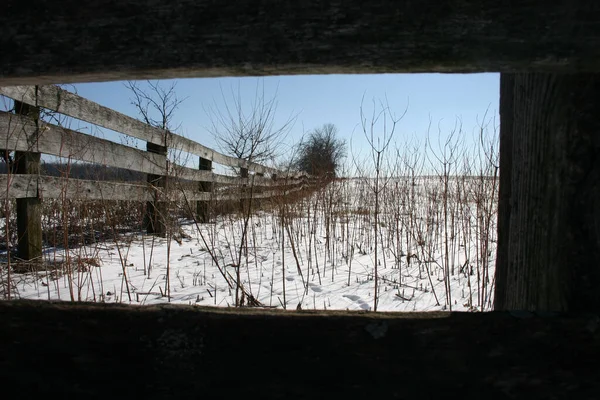 Деревянный забор простирается по бесплодной снежной ферме, усеянной мертвыми стеблями — стоковое фото