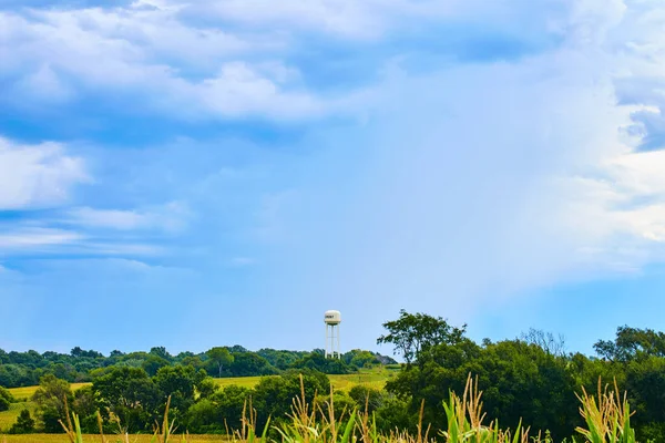 Floresta e campos de milho com torre de água e céu azul pálido — Fotografia de Stock