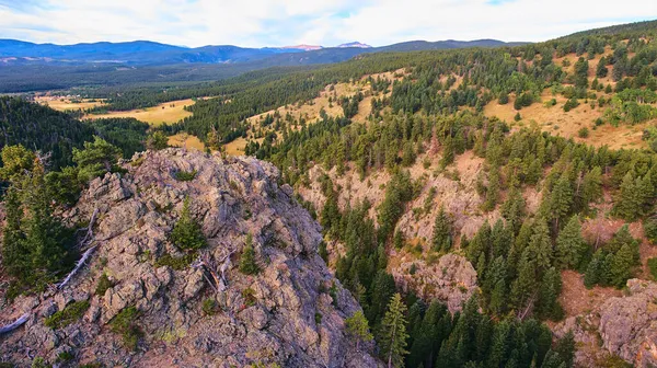 소나무와 바위로 뒤덮인 산 풍경 — 스톡 사진