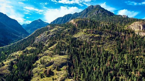 Grote colorado rotsachtige bergen bedekt met pijnbomen — Stockfoto