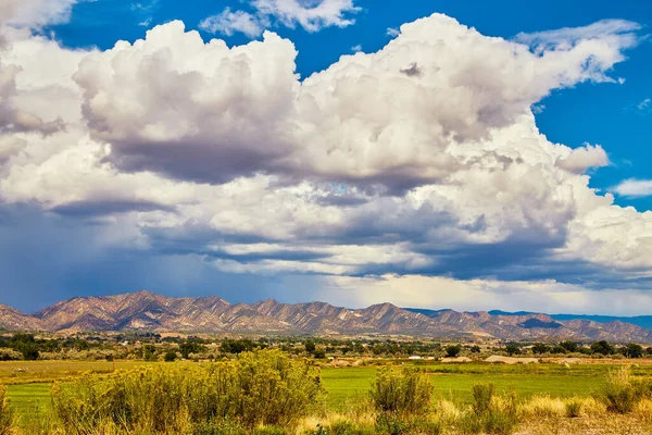 Duże białe chmury burzowe uderzające pustynne góry bujnym zielonym polem i kwiatami na pierwszym planie — Zdjęcie stockowe