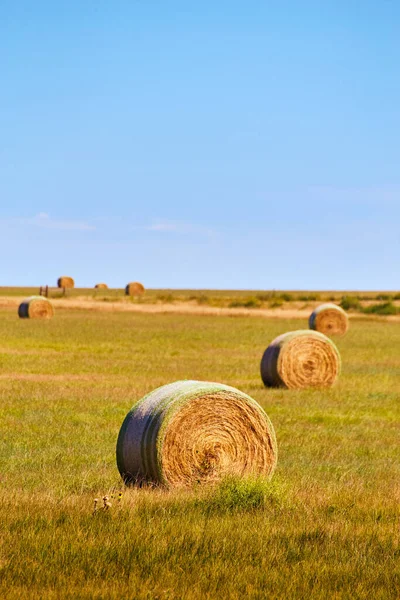 Vertical Hay Bales em campo aberto — Fotografia de Stock