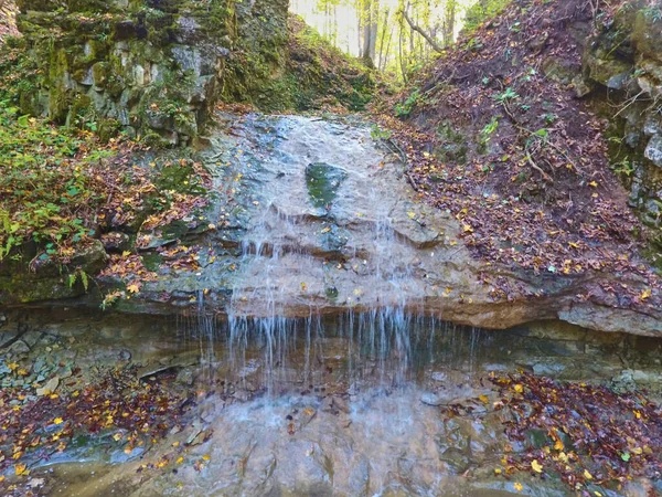 Kapající kapky padají přes potok v lese — Stock fotografie