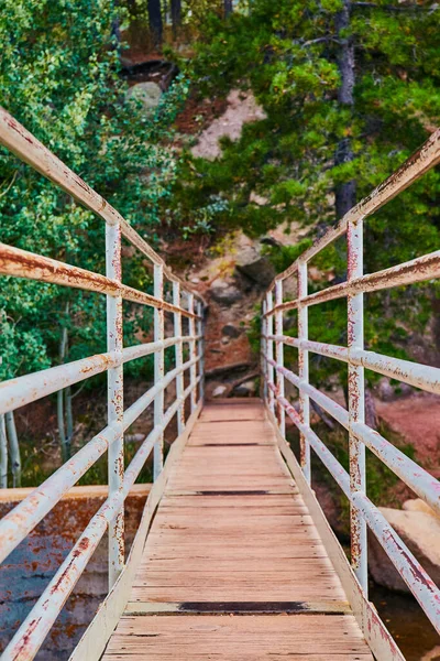 Vertical walking bridge detail with rusted railing and wood plans into forest — Stock Photo, Image