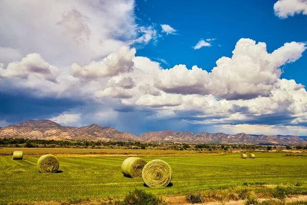 Fay Bales em campo verde com montanhas e nuvens de tempestade no fundo — Fotografia de Stock