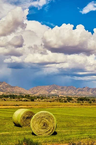 Close up de fardos de feno no campo por montanhas do deserto e nuvens chuvosas — Fotografia de Stock