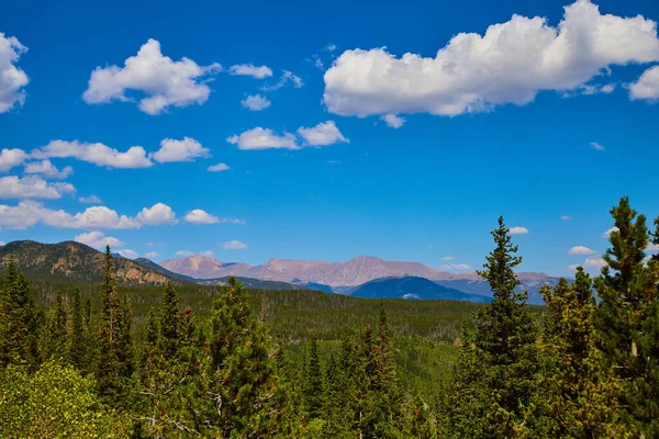 Landschap van dennenbos met bergen op de achtergrond en blauwe lucht — Stockfoto
