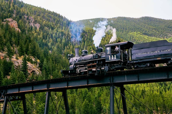 Lokomotivzug auf Brücke gegen grüne Kiefernberge — Stockfoto