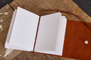 Tahtalarında kahverengi deri olan boş sayfalarca günlük.