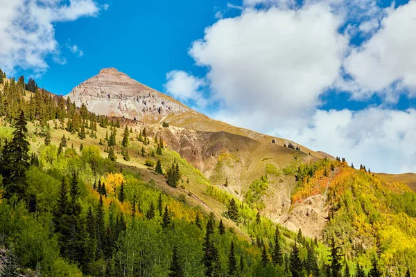 Grote berg in de herfst bedekt met goudgele espen bomen — Stockfoto