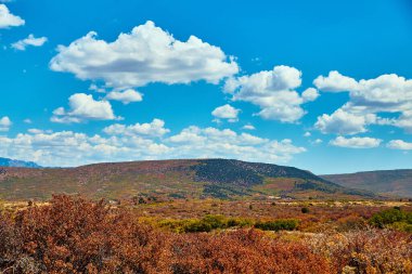 Sonbaharda mavi gökyüzüyle dağlarda açık orman