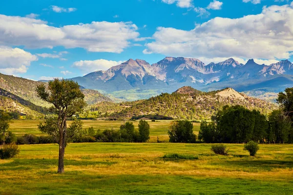 Albero solitario in campo con maestosa catena montuosa sullo sfondo — Foto Stock