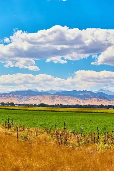 Campo de fazenda com grandes montanhas do deserto à distância e nuvens brancas — Fotografia de Stock