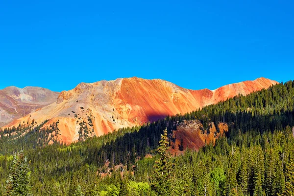 Woestijnbergen bedekt met rood zand naast bos van pijnbomen tegen de blauwe lucht — Stockfoto
