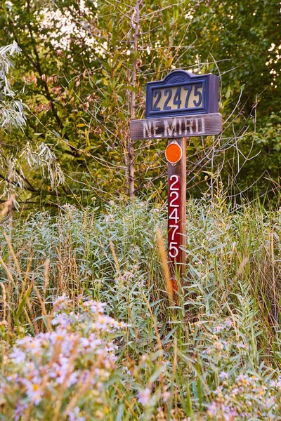 Крупный план дорожного знака, спрятанного в пышные зеленые растения — стоковое фото