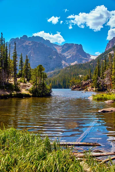 Lago con vista a la montaña rodeado de pinos y cielo azul — Foto de Stock