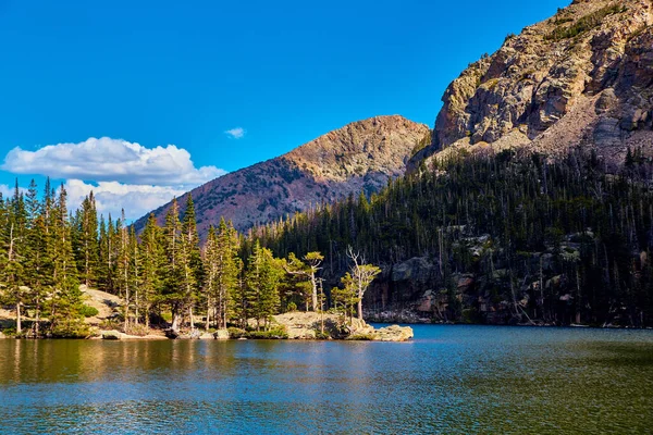 Pinos junto a un gran lago en las montañas con cielo azul — Foto de Stock